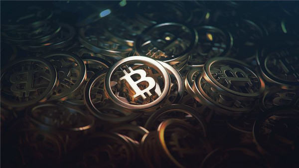 从君子兰到虚拟币！老年人再陷财富陷阱中柬联手围剿跨国骗局